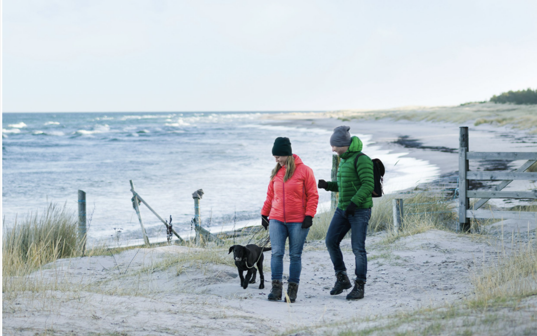 Folkhälsan i Sverige 2026
